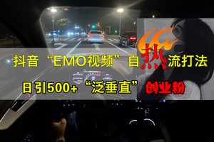 (13029期)抖音EMO视频自热打法,日引500+“泛垂直”创业粉网赚项目-副业赚钱-互联网创业-资源整合三网合壹|项目站