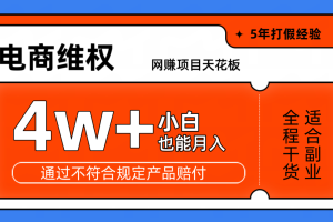 网赚项目天花板电商购物维权月收入稳定4w+独家玩法小白也能上手网赚项目-副业赚钱-互联网创业-资源整合三网合壹|项目站