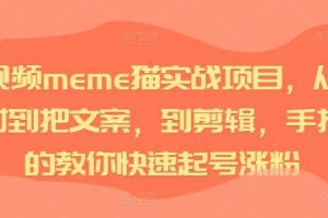 短视频meme猫实战项目，从选素材到把文案，到剪辑，手把手的教你快速起号涨粉网赚项目-副业赚钱-互联网创业-资源整合三网合壹|项目站