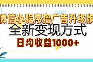(13138期)微信小程序撸广告升级版,全新变现方式,日均收益1000+网赚项目-副业赚钱-互联网创业-资源整合三网合壹|项目站