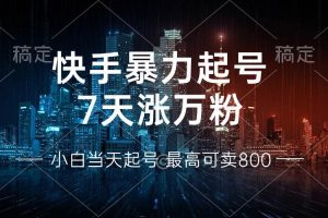 (13142期)快手暴力起号,7天涨万粉,小白当天起号 多种变现方式,账号回收,单月…网赚项目-副业赚钱-互联网创业-资源整合三网合壹|项目站