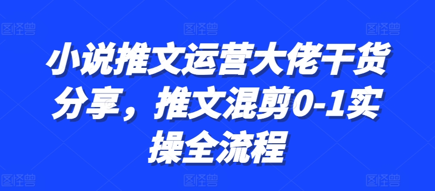 小说推文运营大佬干货分享,推文混剪0-1实操全流程网赚项目-副业赚钱-互联网创业-资源整合三网合壹|项目站