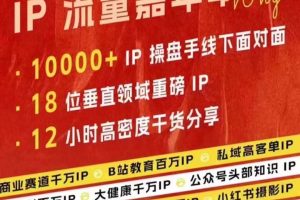 群响IP流量嘉年华,现场视频+IP江湖2024典藏版PPT网赚项目-副业赚钱-互联网创业-资源整合三网合壹|项目站