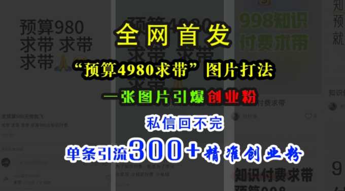 20241104014530-6728273a20852.jpg 小红书“预算4980带我飞”图片打法,一张图片引爆创业粉,私信回不完,单条引流300+精准创业粉