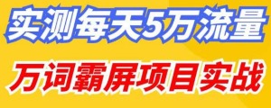 百度万词霸屏实操项目引流课,30天霸屏10万关键词网赚项目-副业赚钱-互联网创业-资源整合三网合壹|项目站
