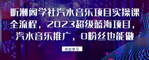 听潮阁学社汽水音乐项目实操课全流程,2023超级蓝海项目,汽水音乐推广,0粉丝也能做!网赚项目-副业赚钱-互联网创业-资源整合三网合壹|项目站