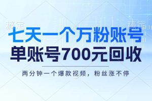 (13062期)七天一个万粉账号,新手小白秒上手,单账号回收700元,轻松月入三万+网赚项目-副业赚钱-互联网创业-资源整合三网合壹|项目站