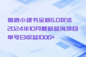 (13052期)微信小绿书全新6.0玩法,2024年10月最新蓝海项目,单号日收益1000+网赚项目-副业赚钱-互联网创业-资源整合三网合壹|项目站