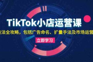 TikTok小店运营课:投流技法全攻略,包括广告命名 扩量手法及市场运营方法网赚项目-副业赚钱-互联网创业-资源整合三网合壹|项目站