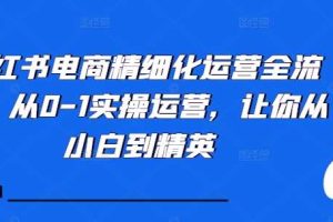 小红书电商精细化运营全流程,从0-1实操运营,让你从小白到精英网赚项目-副业赚钱-互联网创业-资源整合三网合壹|项目站