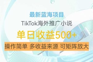 最新蓝海项目,利用tiktok海外推广小说赚钱佣金,简单易学,日入500+,可矩阵放大【揭秘】网赚项目-副业赚钱-互联网创业-资源整合三网合壹|项目站