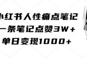 小红书人性痛点笔记,一条笔记点赞3W+,单日变现1k网赚项目-副业赚钱-互联网创业-资源整合三网合壹|项目站