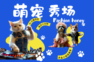 酷飒动物跳舞走秀 时尚喵FASHION汪 多金小姐姐最爱的 轻松月入破W网赚项目-副业赚钱-互联网创业-资源整合三网合壹|项目站