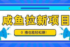 咸鱼拉新项目,拉新一单6-9元,0撸也能轻松赚,白撸几十几百!网赚项目-副业赚钱-互联网创业-资源整合三网合壹|项目站