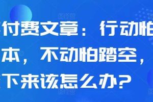 某付费文章:行动怕亏本,不动怕踏空,接下来该怎么办?网赚项目-副业赚钱-互联网创业-资源整合三网合壹|项目站