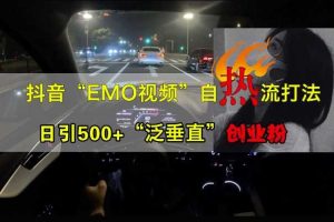 抖音EMO视频自热打法,日引500+“泛垂直”创业粉网赚项目-副业赚钱-互联网创业-资源整合三网合壹|项目站