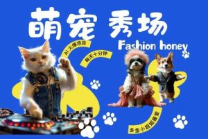 酷飒动物跳舞走秀,时尚喵FASHION汪, 多金小姐姐最爱的,轻松月入破W【揭秘】网赚项目-副业赚钱-互联网创业-资源整合三网合壹|项目站