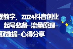 创业变现教学,2024抖音创业实操课,起号必备-流量原理-获取数据-心得分享网赚项目-副业赚钱-互联网创业-资源整合三网合壹|项目站