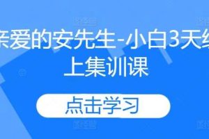 亲爱的安先生-小白3天线上集训课网赚项目-副业赚钱-互联网创业-资源整合三网合壹|项目站