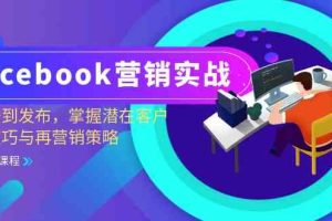 Facebook营销实战:从注册到发布,掌握潜在客户开发技巧与再营销策略网赚项目-副业赚钱-互联网创业-资源整合三网合壹|项目站