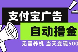 (13101期)支付宝广告全自动撸金,无需养机,当天落地500+网赚项目-副业赚钱-互联网创业-资源整合三网合壹|项目站