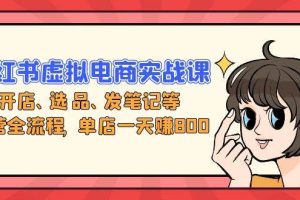 (13110期)小红书虚拟电商实战课:开店、选品、发笔记等运营全流程,单店一天赚800网赚项目-副业赚钱-互联网创业-资源整合三网合壹|项目站