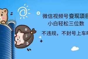 (13115期)2024最新微信视频号变现项目,小白轻松月入四位数网赚项目-副业赚钱-互联网创业-资源整合三网合壹|项目站
