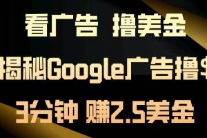 （13114期）看广告，撸美金！3分钟赚2.5美金！日入200美金不是梦！揭秘Google广告…网赚项目-副业赚钱-互联网创业-资源整合三网合壹|项目站