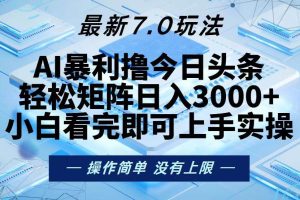 （13125期）今日头条最新7.0玩法，轻松矩阵日入3000+网赚项目-副业赚钱-互联网创业-资源整合三网合壹|项目站