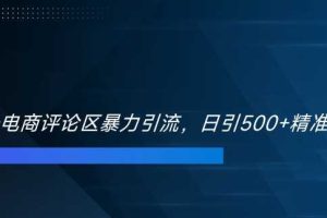 双十一电商评论区暴力引流,日引500+精准创业粉【揭秘】网赚项目-副业赚钱-互联网创业-资源整合三网合壹|项目站