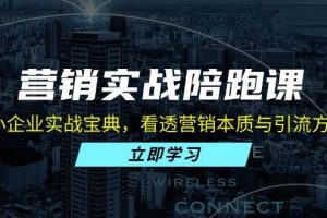 (13146期)营销实战陪跑课:中小企业实战宝典,看透营销本质与引流方法论网赚项目-副业赚钱-互联网创业-资源整合三网合壹|项目站
