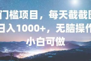 (13160期)0门槛项目,每天截截图,日入1000+,轻松无脑,小白可做网赚项目-副业赚钱-互联网创业-资源整合三网合壹|项目站
