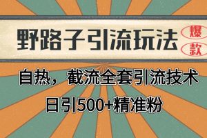 抖音小红书视频号全平台引流打法,全自动引流日引2000+精准客户网赚项目-副业赚钱-互联网创业-资源整合三网合壹|项目站