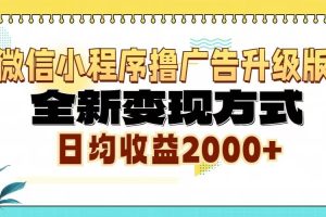 (13186期)微信小程序撸广告升级版,全新变现方式,日均收益2000+网赚项目-副业赚钱-互联网创业-资源整合三网合壹|项目站