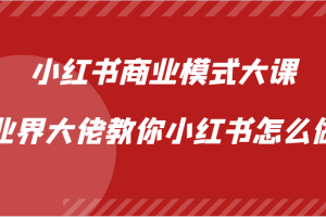 小红书商业模式大课,业界大佬教你小红书怎么做【视频课】网赚项目-副业赚钱-互联网创业-资源整合三网合壹|项目站