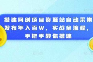 搭建网创项目资源站自动采集发布年入百W,实战全流程,手把手教你搭建【揭秘】网赚项目-副业赚钱-互联网创业-资源整合三网合壹|项目站