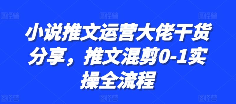 小说推文运营大佬干货分享,推文混剪0-1实操全流程网赚项目-副业赚钱-互联网创业-资源整合三网合壹|项目站