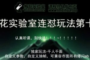 梅花实验室社群专享课视频号连怼玩法第十期课程+第二部分-FF助手全新高自由万能爆闪AB处理网赚项目-副业赚钱-互联网创业-资源整合三网合壹|项目站