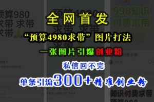 小红书“预算4980带我飞”图片打法,一张图片引爆创业粉,私信回不完,单条引流300+精准创业粉网赚项目-副业赚钱-互联网创业-资源整合三网合壹|项目站