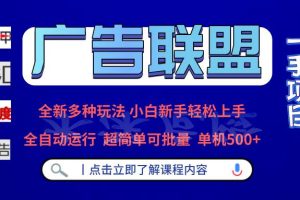 (13258期)广告联盟 全新多种玩法 单机500+ 全自动运行 可批量运行网赚项目-副业赚钱-互联网创业-资源整合三网合壹|项目站
