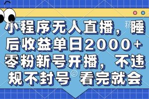 (13251期)小程序无人直播,睡后收益单日2000+ 零粉新号开播,不违规不封号 看完就会网赚项目-副业赚钱-互联网创业-资源整合三网合壹|项目站