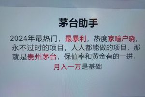 魔法贵州茅台代理,抛开传统玩法,使用科技命中率极高,单瓶利润1000+网赚项目-副业赚钱-互联网创业-资源整合三网合壹|项目站