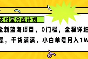 2024年下半年新风口,支付宝分成计划项目玩法,轻松月入1w+网赚项目-副业赚钱-互联网创业-资源整合三网合壹|项目站