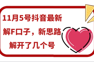 11月5号抖音最新解F口子,新思路解开了几个号网赚项目-副业赚钱-互联网创业-资源整合三网合壹|项目站