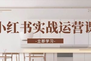 小红书实战运营课:从开通店铺到直播话术,打造爆款笔记与高效直播网赚项目-副业赚钱-互联网创业-资源整合三网合壹|项目站