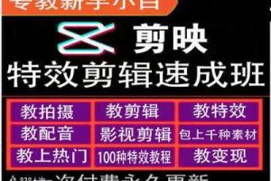 剪映特效教程和运营变现教程,特效剪辑速成班,专教新手小白网赚项目-副业赚钱-互联网创业-资源整合三网合壹|项目站