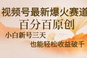 （13225期）视频号最新爆火赛道，中老年粉深信不疑，百分百原创，新号三天收益轻松…网赚项目-副业赚钱-互联网创业-资源整合三网合壹|项目站