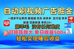 （13223期）多平台 自动看视频 广告掘金，当天变现，收益300+，可矩阵放大操作网赚项目-副业赚钱-互联网创业-资源整合三网合壹|项目站