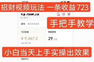 招财视频玩法,一条视频收益723,手把手教学,小白当天可上手网赚项目-副业赚钱-互联网创业-资源整合三网合壹|项目站