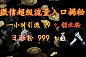 微信超级流量入口揭秘：一小时引流 99 + 创业粉，日涨粉 999 +网赚项目-副业赚钱-互联网创业-资源整合三网合壹|项目站